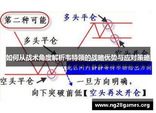 如何从战术角度解析韦特领的战略优势与应对策略
