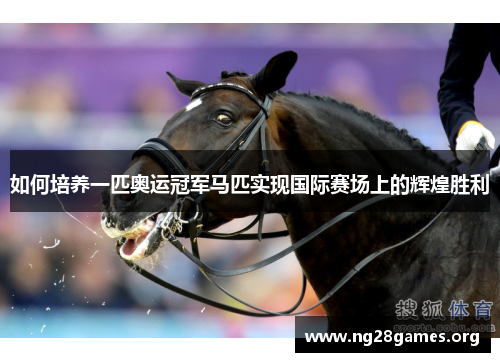 如何培养一匹奥运冠军马匹实现国际赛场上的辉煌胜利 如何培养一匹奥运冠军马匹实现国际赛场上的辉煌胜利