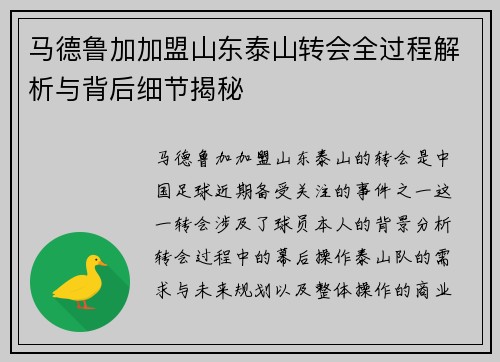 马德鲁加加盟山东泰山转会全过程解析与背后细节揭秘