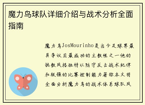 魔力鸟球队详细介绍与战术分析全面指南